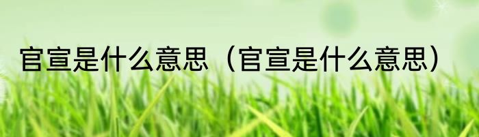 官宣是什么意思（官宣是什么意思）