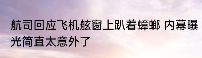 航司回应飞机舷窗上趴着蟑螂 内幕曝光简直太意外了