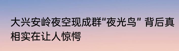 大兴安岭夜空现成群“夜光鸟” 背后真相实在让人惊愕