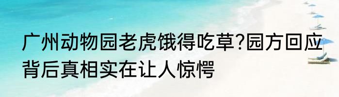 广州动物园老虎饿得吃草?园方回应 背后真相实在让人惊愕