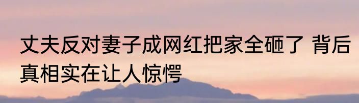 丈夫反对妻子成网红把家全砸了 背后真相实在让人惊愕