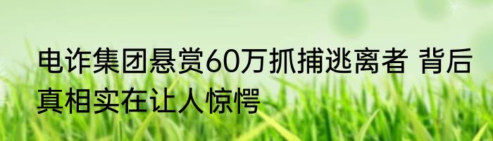 电诈集团悬赏60万抓捕逃离者 背后真相实在让人惊愕