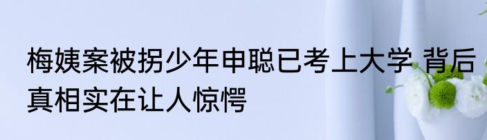 梅姨案被拐少年申聪已考上大学 背后真相实在让人惊愕