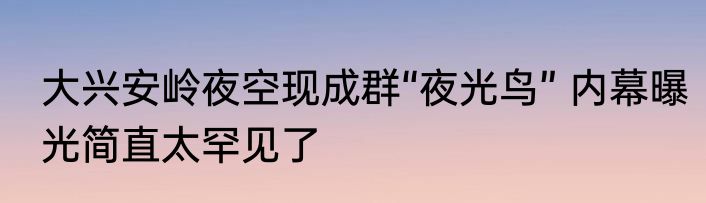 大兴安岭夜空现成群“夜光鸟” 内幕曝光简直太罕见了