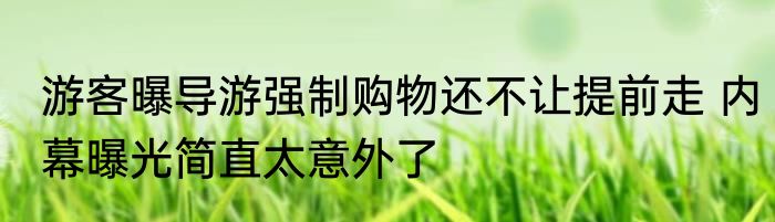 游客曝导游强制购物还不让提前走 内幕曝光简直太意外了