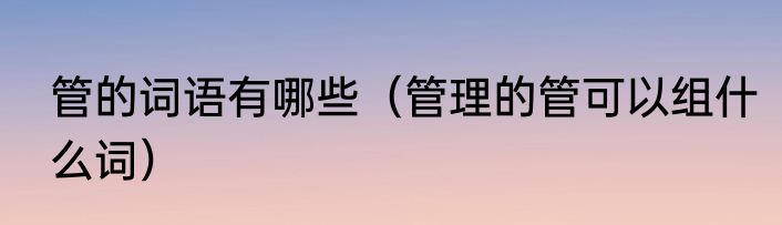 管的词语有哪些（管理的管可以组什么词）