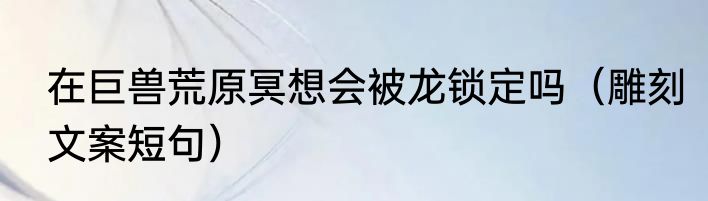 在巨兽荒原冥想会被龙锁定吗（雕刻文案短句）