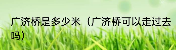 广济桥是多少米（广济桥可以走过去吗）