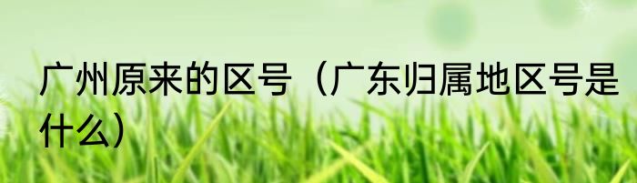 广州原来的区号（广东归属地区号是什么）
