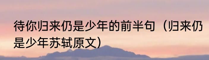 待你归来仍是少年的前半句（归来仍是少年苏轼原文）