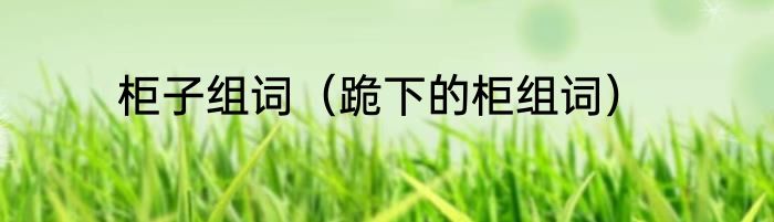 柜子组词（跪下的柜组词）