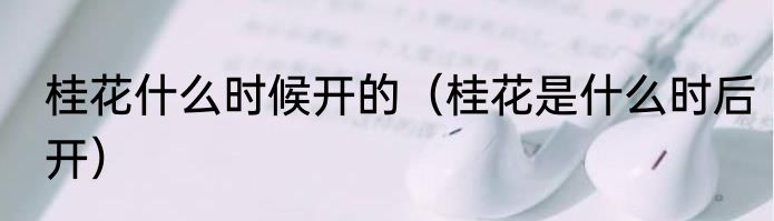 桂花什么时候开的（桂花是什么时后开）
