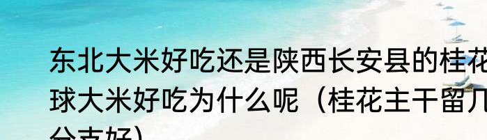 东北大米好吃还是陕西长安县的桂花球大米好吃为什么呢（桂花主干留几分支好）