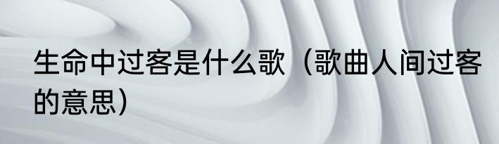 生命中过客是什么歌（歌曲人间过客的意思）