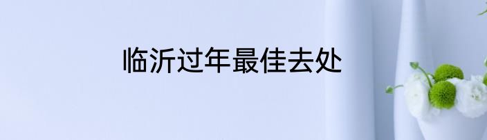 临沂过年最佳去处