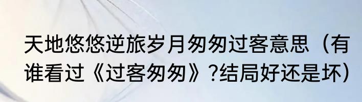 天地悠悠逆旅岁月匆匆过客意思（有谁看过《过客匆匆》?结局好还是坏）