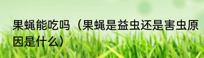 果蝇能吃吗（果蝇是益虫还是害虫原因是什么）