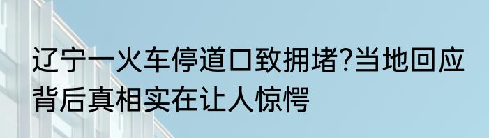辽宁一火车停道口致拥堵?当地回应 背后真相实在让人惊愕