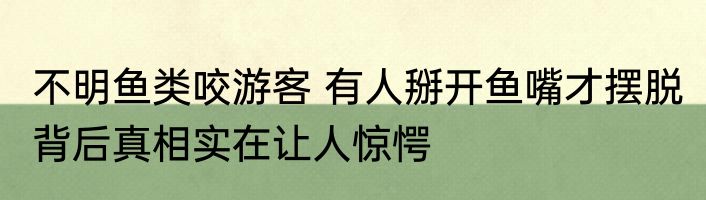 不明鱼类咬游客 有人掰开鱼嘴才摆脱 背后真相实在让人惊愕