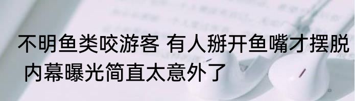 不明鱼类咬游客 有人掰开鱼嘴才摆脱 内幕曝光简直太意外了