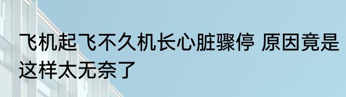 飞机起飞不久机长心脏骤停 原因竟是这样太无奈了