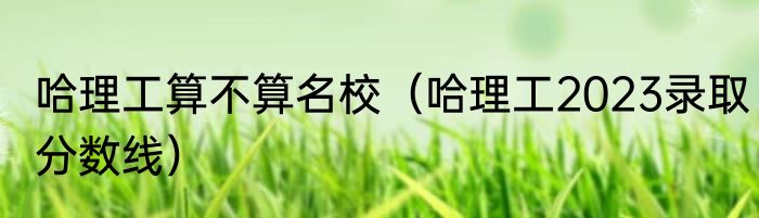 哈理工算不算名校（哈理工2023录取分数线）