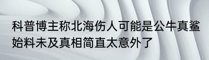 科普博主称北海伤人可能是公牛真鲨 始料未及真相简直太意外了