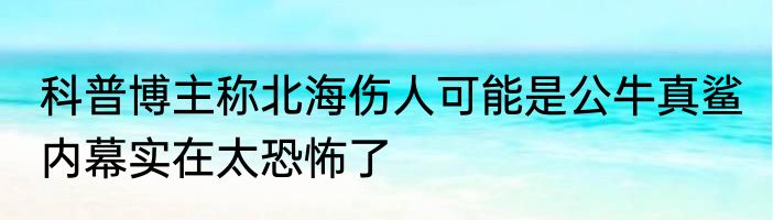 科普博主称北海伤人可能是公牛真鲨 内幕实在太恐怖了
