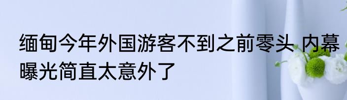 缅甸今年外国游客不到之前零头 内幕曝光简直太意外了