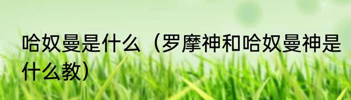 哈奴曼是什么（罗摩神和哈奴曼神是什么教）