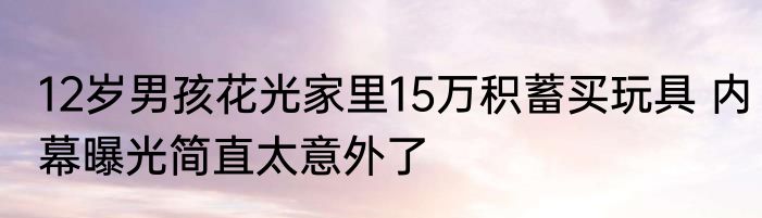 12岁男孩花光家里15万积蓄买玩具 内幕曝光简直太意外了