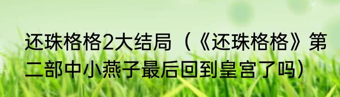 还珠格格2大结局（《还珠格格》第二部中小燕子最后回到皇宫了吗）
