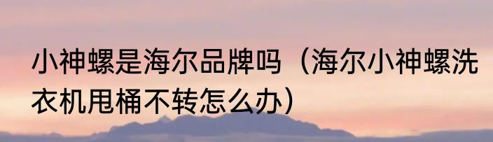 小神螺是海尔品牌吗（海尔小神螺洗衣机甩桶不转怎么办）