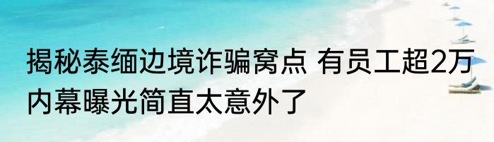 揭秘泰缅边境诈骗窝点 有员工超2万 内幕曝光简直太意外了