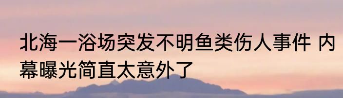 北海一浴场突发不明鱼类伤人事件 内幕曝光简直太意外了