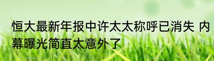 恒大最新年报中许太太称呼已消失 内幕曝光简直太意外了