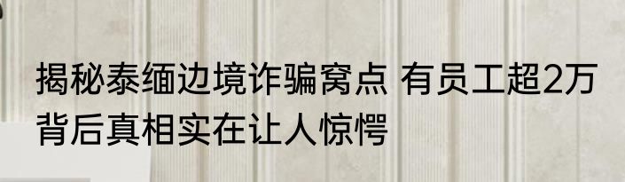 揭秘泰缅边境诈骗窝点 有员工超2万 背后真相实在让人惊愕