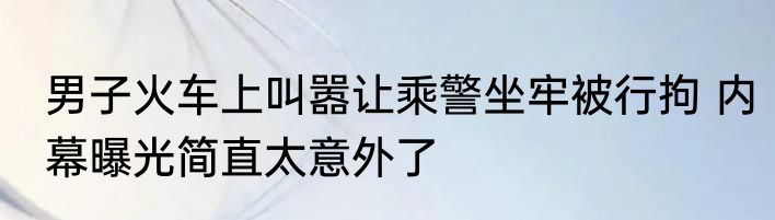 男子火车上叫嚣让乘警坐牢被行拘 内幕曝光简直太意外了