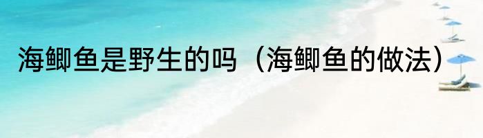 海鲫鱼是野生的吗（海鲫鱼的做法）