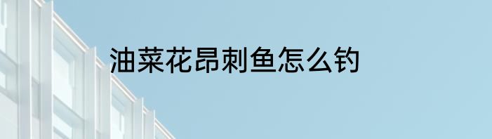 油菜花昂刺鱼怎么钓