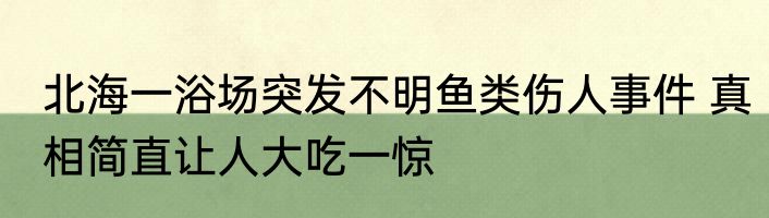北海一浴场突发不明鱼类伤人事件 真相简直让人大吃一惊