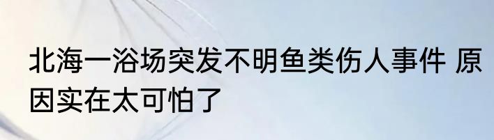北海一浴场突发不明鱼类伤人事件 原因实在太可怕了