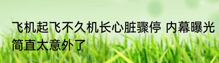 飞机起飞不久机长心脏骤停 内幕曝光简直太意外了