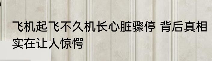飞机起飞不久机长心脏骤停 背后真相实在让人惊愕
