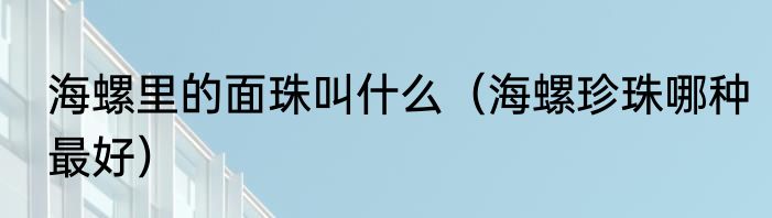 海螺里的面珠叫什么（海螺珍珠哪种最好）