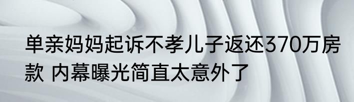 单亲妈妈起诉不孝儿子返还370万房款 内幕曝光简直太意外了