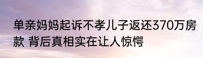 单亲妈妈起诉不孝儿子返还370万房款 背后真相实在让人惊愕