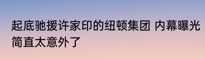 起底驰援许家印的纽顿集团 内幕曝光简直太意外了