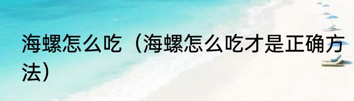 海螺怎么吃（海螺怎么吃才是正确方法）