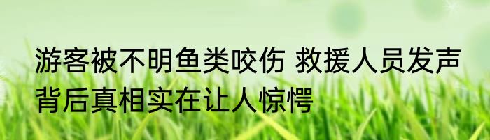 游客被不明鱼类咬伤 救援人员发声 背后真相实在让人惊愕